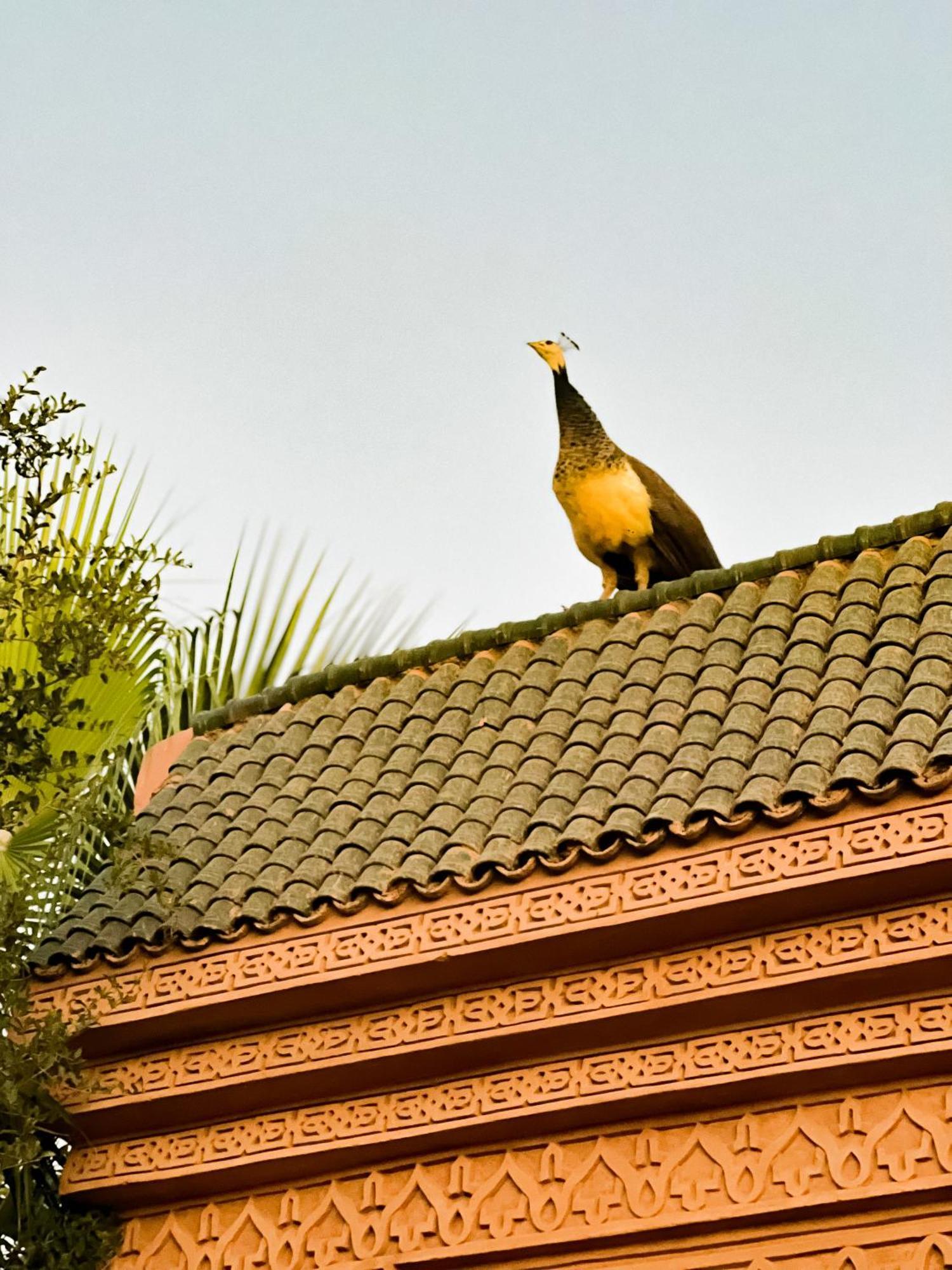 Guest House Qodwa Sidi Abdallah Ghiat Esterno foto
